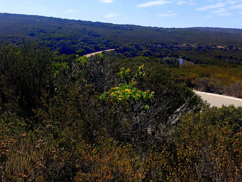 Magnificent Location, Exceptional Environment, Awesome Investment. - Photo 2