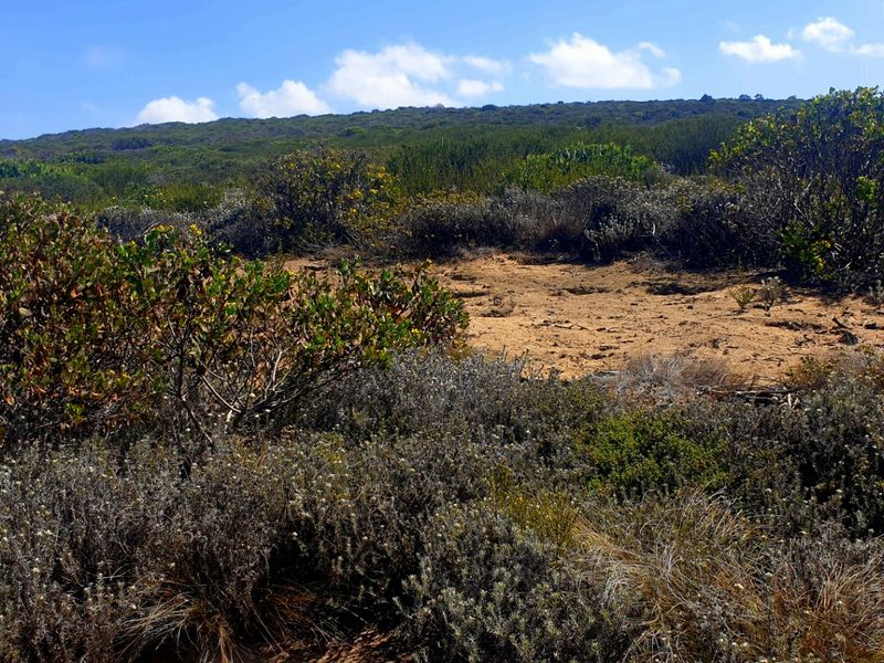 Magnificent Location, Exceptional Environment, Awesome Investment. - Photo 6