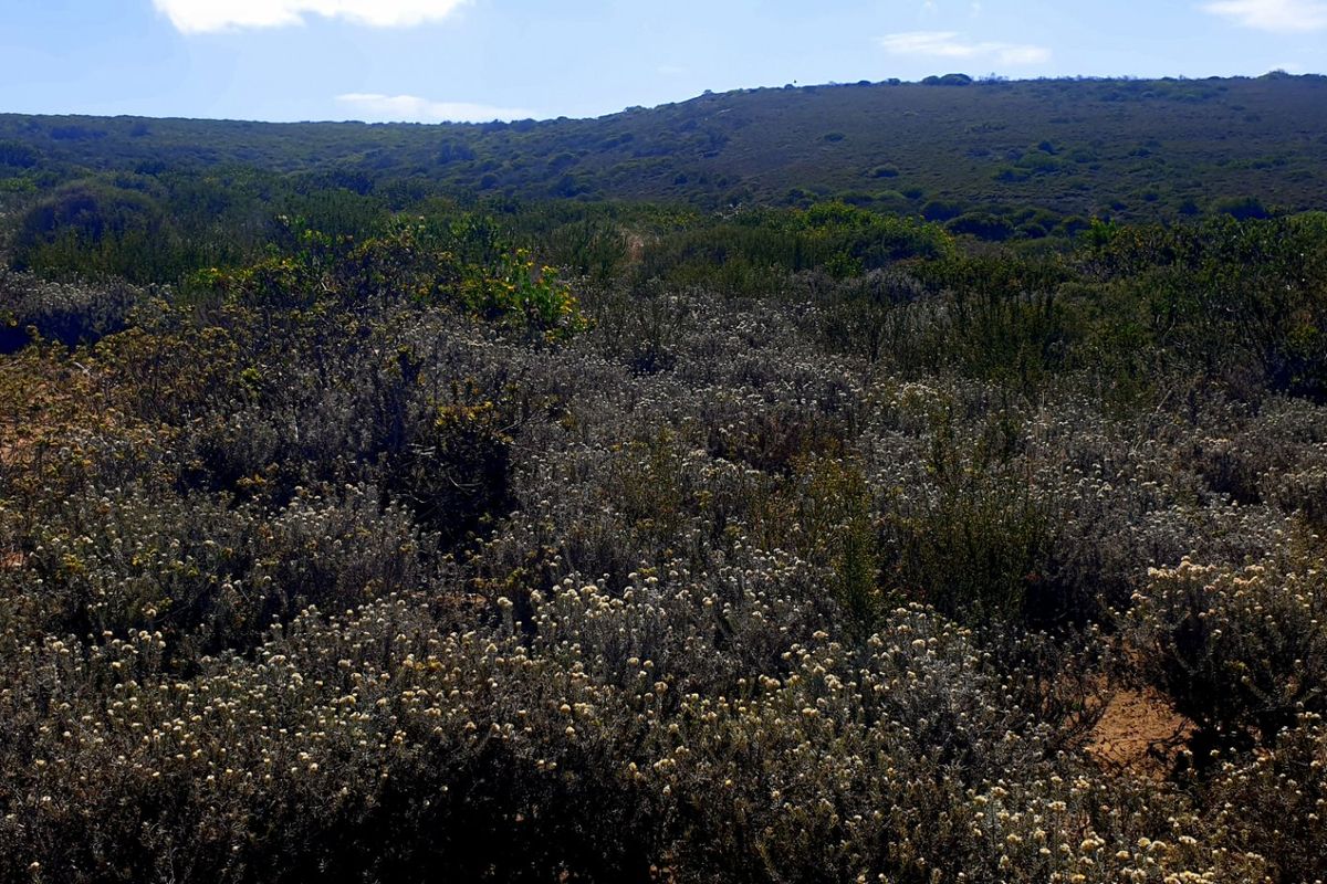 Magnificent Location, Exceptional Environment, Awesome Investment. - Photo 5