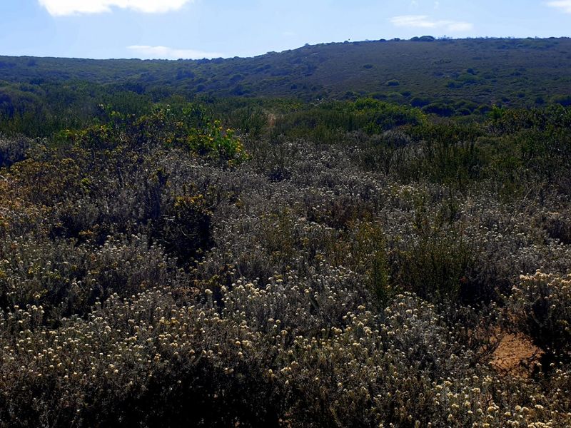 Magnificent Location, Exceptional Environment, Awesome Investment. - Photo 5