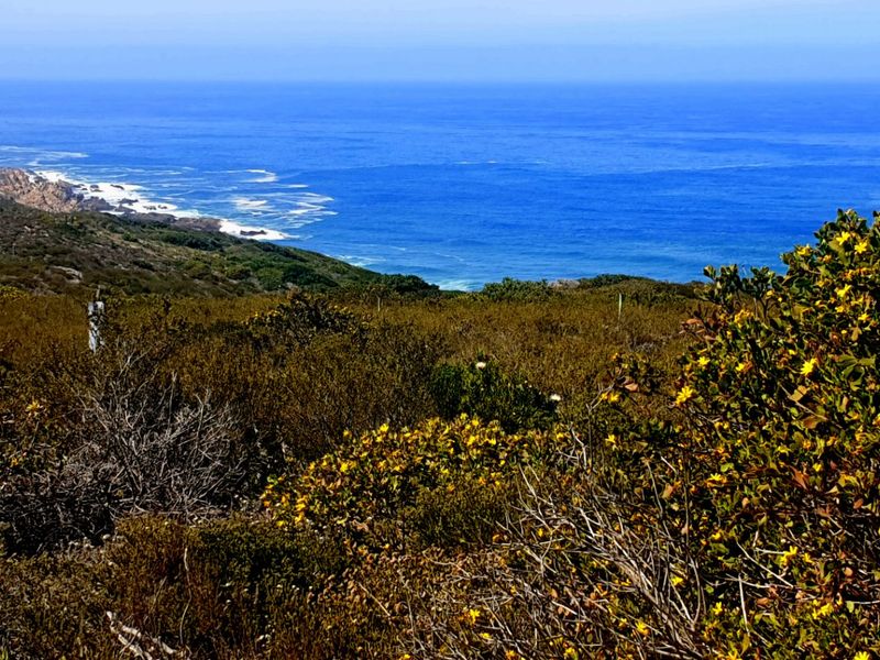 Magnificent Location, Exceptional Environment, Awesome Investment. - Photo 1