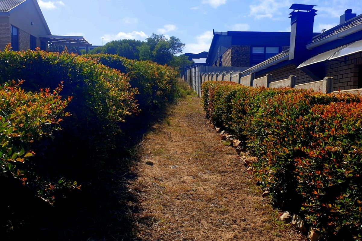 Beautiful Pan-handle Vacant Stand in Delightful Dana Bay - Photo 2