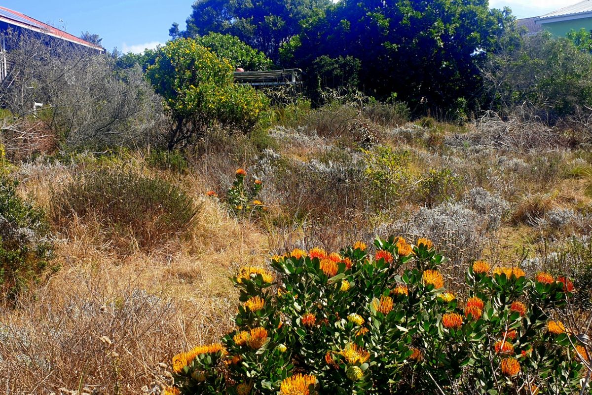 Beautiful Pan-handle Vacant Stand in Delightful Dana Bay - Photo 5