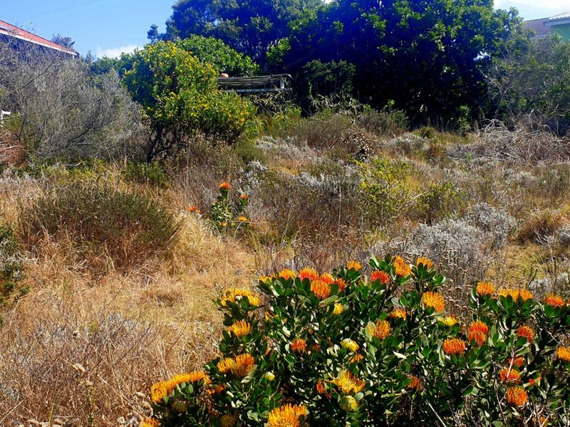 Beautiful Pan-handle Vacant Stand in Delightful Dana Bay - Photo 5