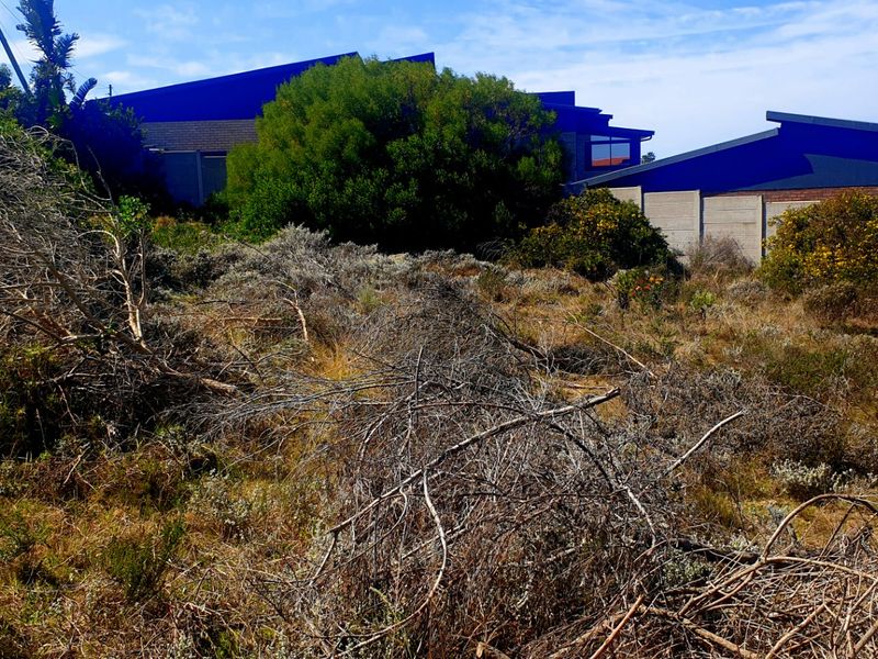 Beautiful Pan-handle Vacant Stand in Delightful Dana Bay - Photo 10