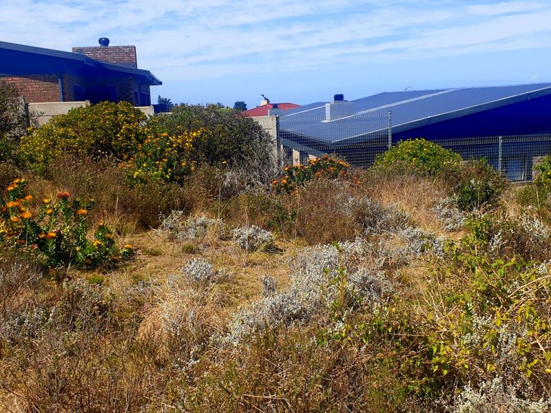 Beautiful Pan-handle Vacant Stand in Delightful Dana Bay - Photo 9