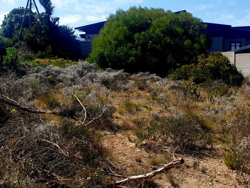 Beautiful Pan-handle Vacant Stand in Delightful Dana Bay - Photo 8