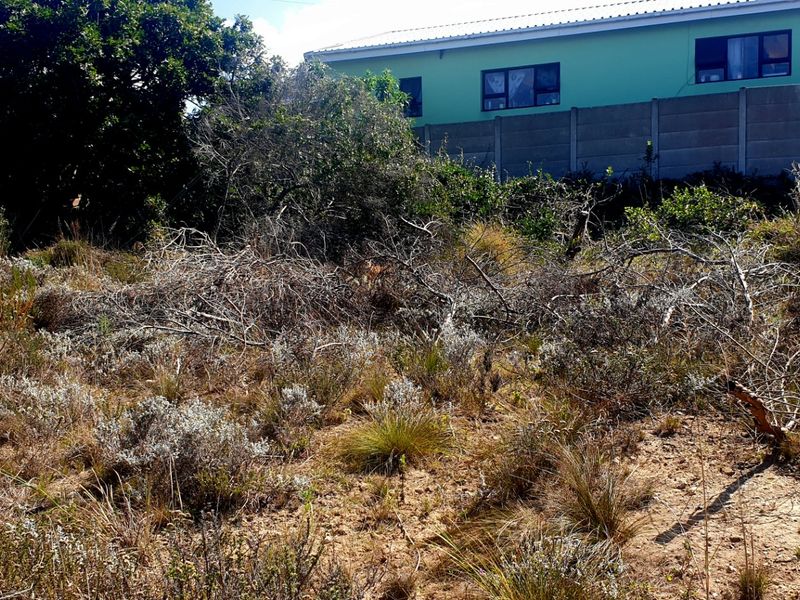 Beautiful Pan-handle Vacant Stand in Delightful Dana Bay - Photo 7