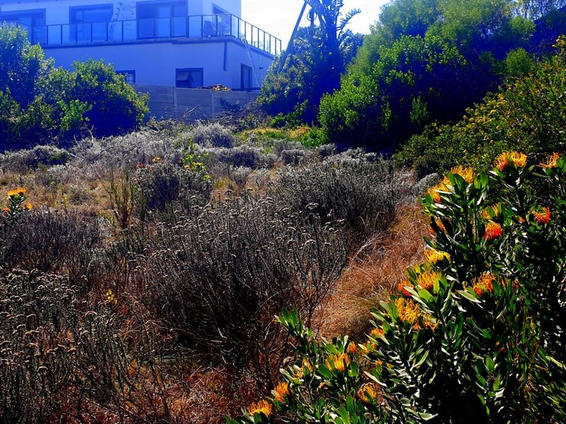 Beautiful Pan-handle Vacant Stand in Delightful Dana Bay - Photo 6