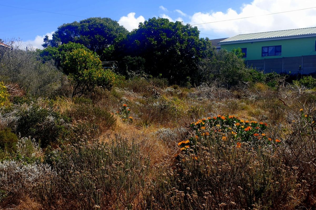 Beautiful Pan-handle Vacant Stand in Delightful Dana Bay - Photo 4