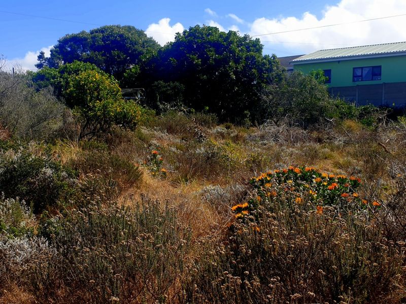 Beautiful Pan-handle Vacant Stand in Delightful Dana Bay - Photo 4