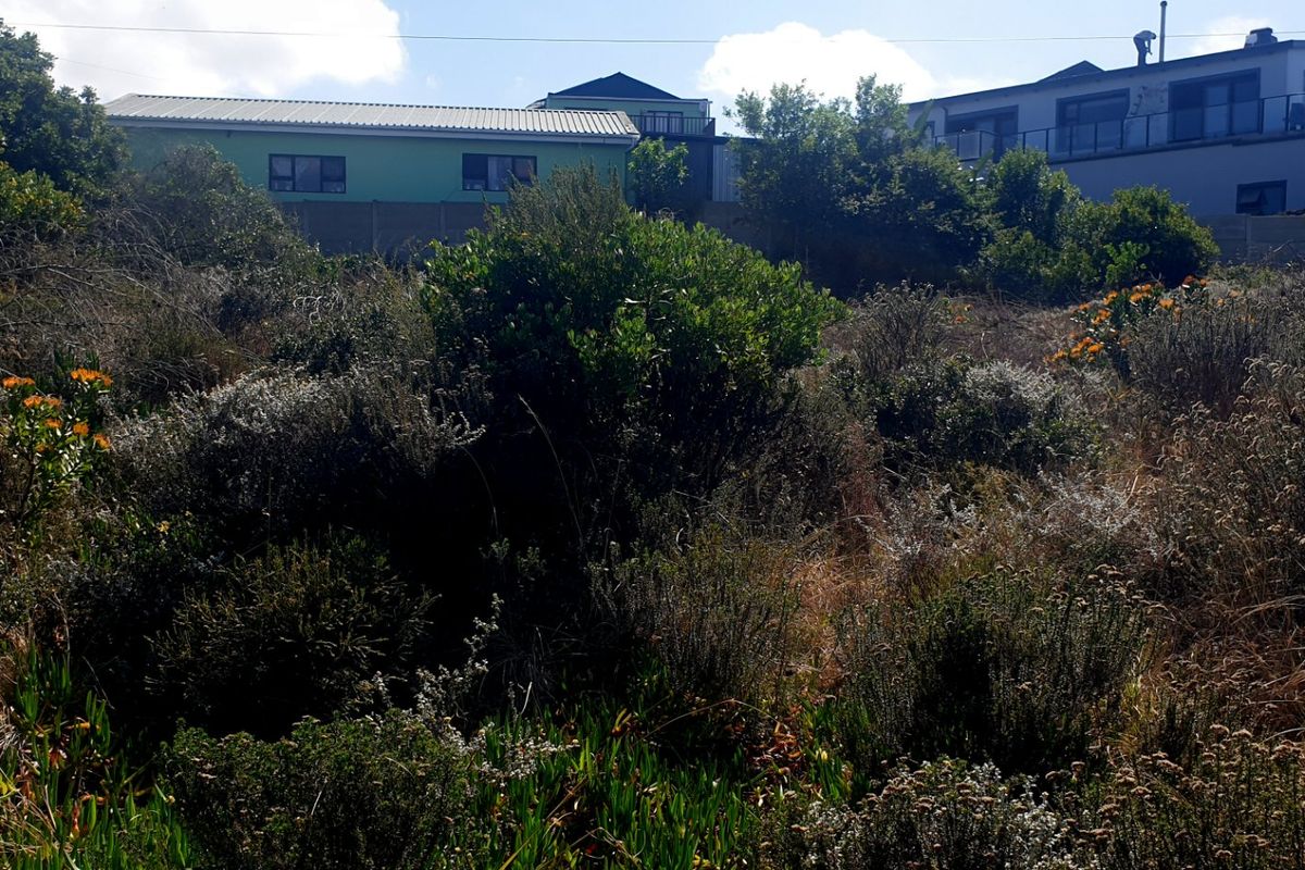 Beautiful Pan-handle Vacant Stand in Delightful Dana Bay - Photo 3