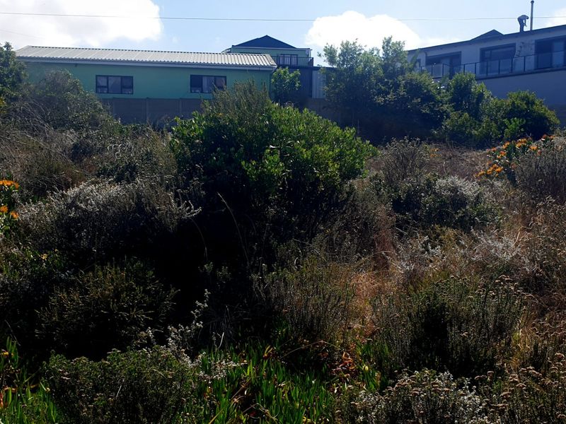 Beautiful Pan-handle Vacant Stand in Delightful Dana Bay - Photo 3