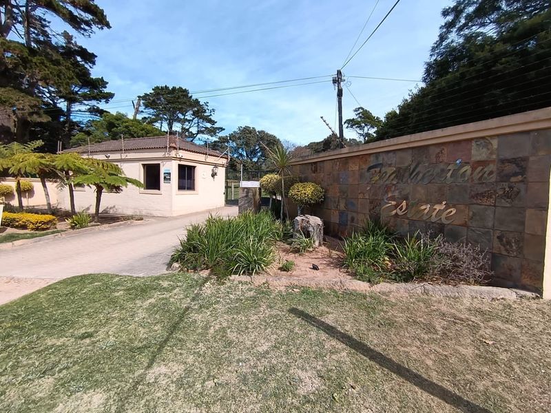 LUXURY WILDLIFE ESTATE IN LOVEMORE HEIGHTS - Photo 5