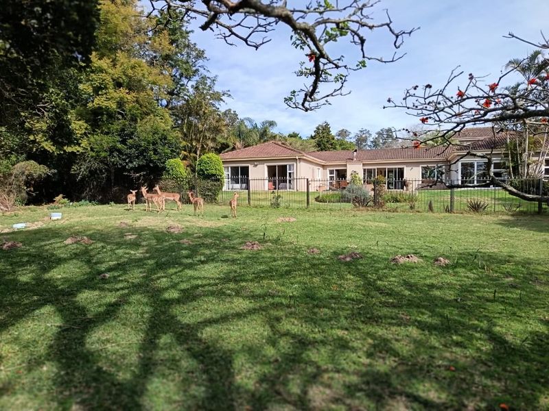 LUXURY WILDLIFE ESTATE IN LOVEMORE HEIGHTS - Photo 2