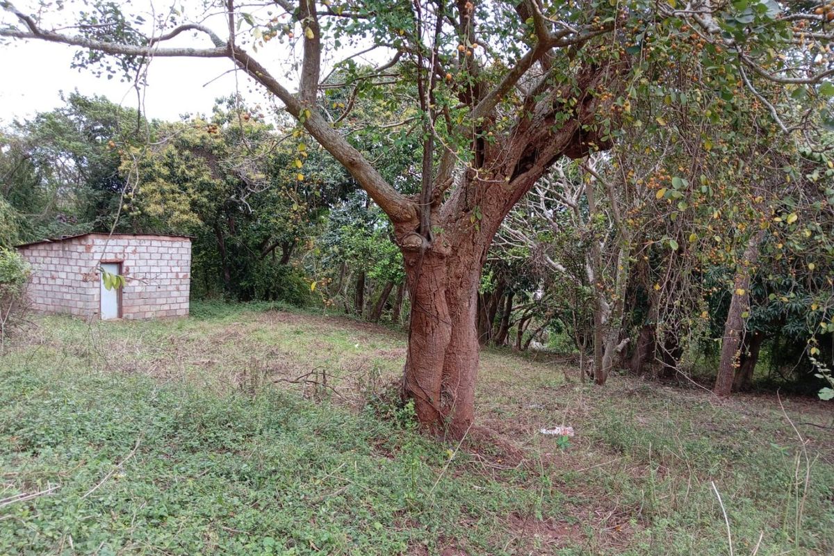 0 Bed Vacant Land in Ongoye, Empangeni Rural for Sale - Photo 4