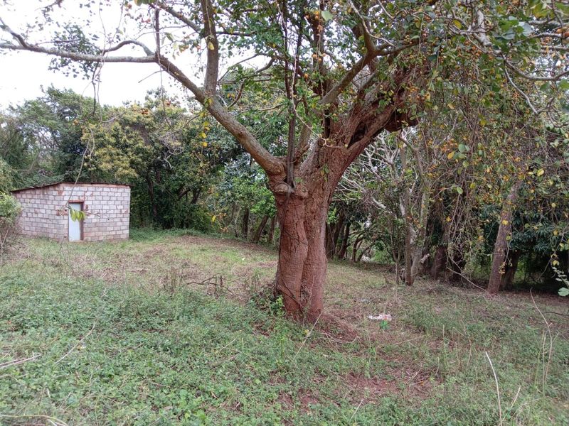0 Bed Vacant Land in Ongoye, Empangeni Rural for Sale - Photo 4