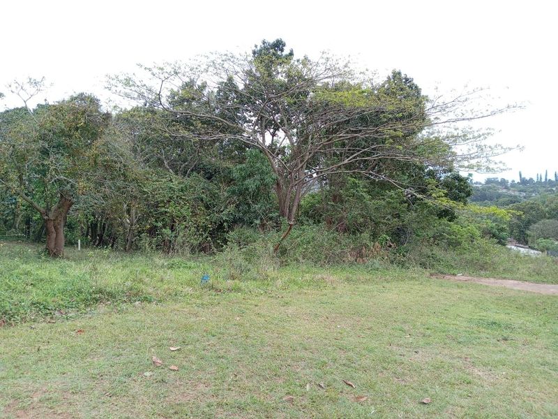 0 Bed Vacant Land in Ongoye, Empangeni Rural for Sale - Photo 9