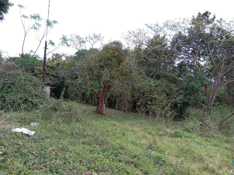 0 Bed Vacant Land in Ongoye, Empangeni Rural for Sale - Photo 8