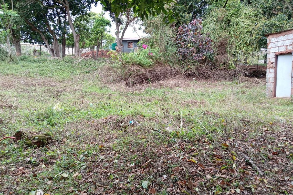 0 Bed Vacant Land in Ongoye, Empangeni Rural for Sale - Photo 3