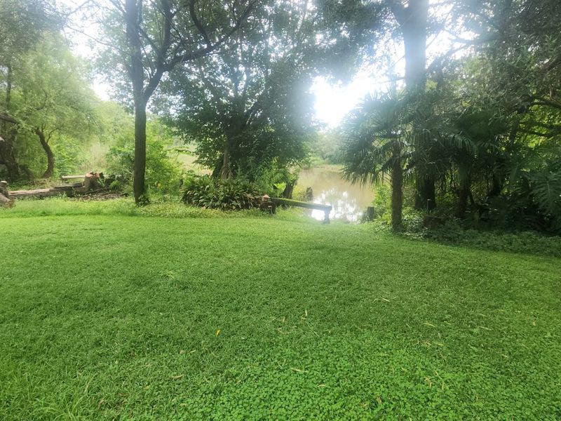 A Picturesque 36.7 Hectare Farm in Klipkop – Perfect for Family Living, Nature Lovers, and Livestock Farming - Photo 5