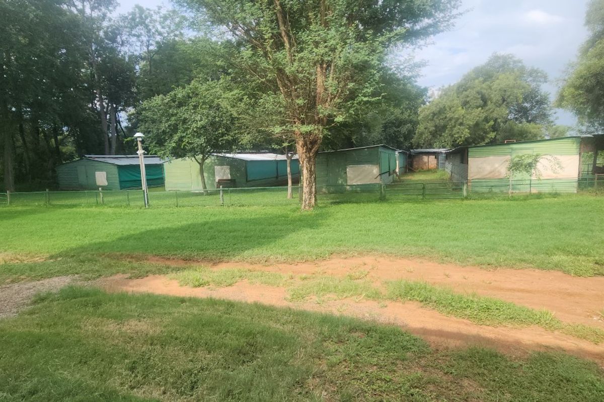 A Picturesque 36.7 Hectare Farm in Klipkop – Perfect for Family Living, Nature Lovers, and Livestock Farming - Photo 4