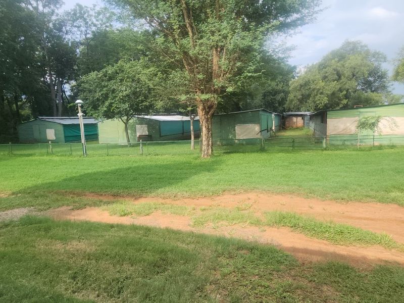 A Picturesque 36.7 Hectare Farm in Klipkop – Perfect for Family Living, Nature Lovers, and Livestock Farming - Photo 4