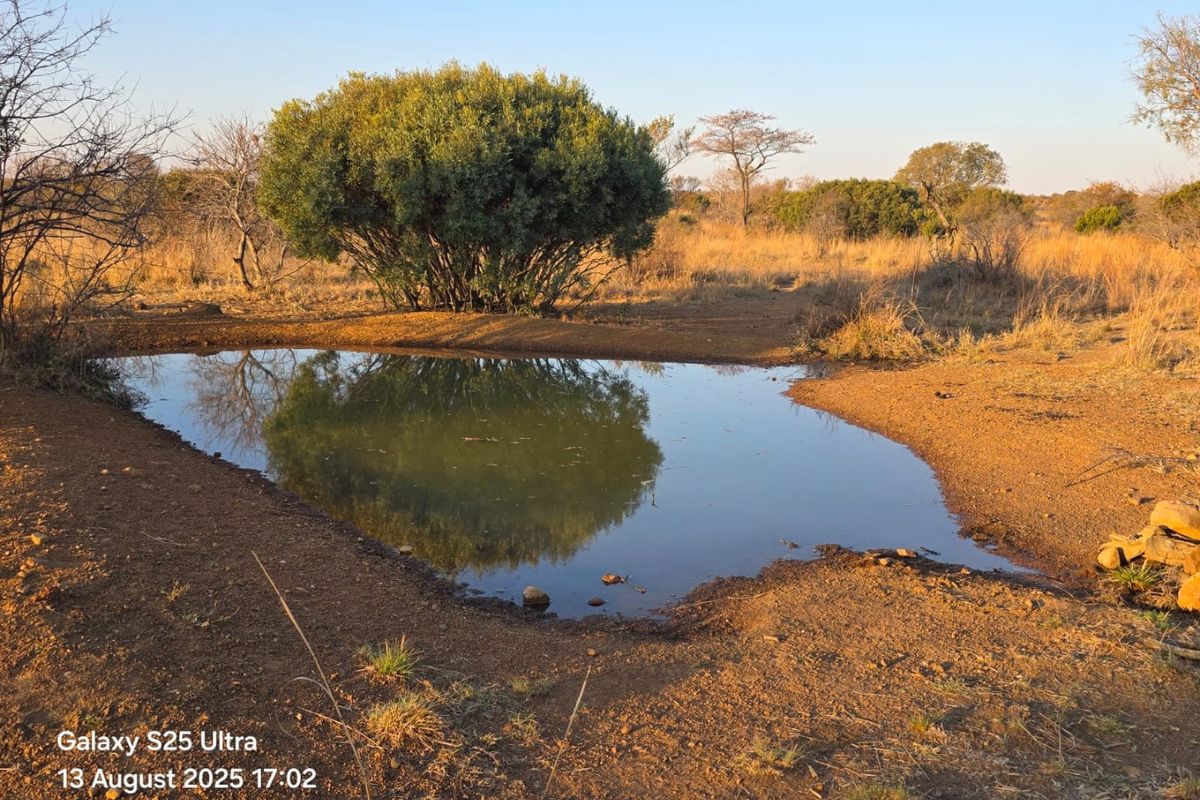 Own your Piece of Bushveld Heaven in Dinokeng Big 5 area and totally of grid - Photo 2