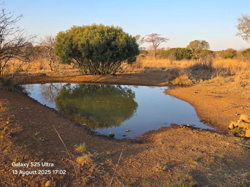 Own your Piece of Bushveld Heaven in Dinokeng Big 5 area and totally of grid - Photo 2