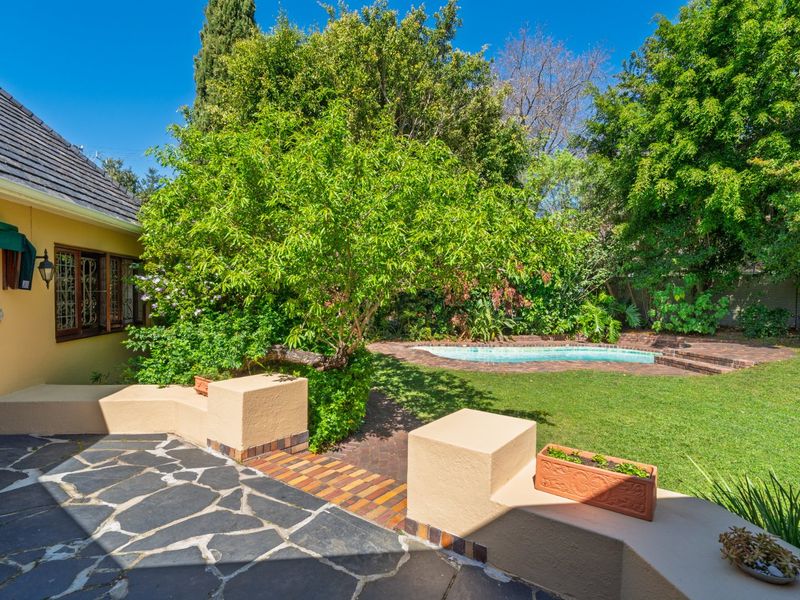 Sunbird Song – A Haven in Kenilworth Upper - Photo 2