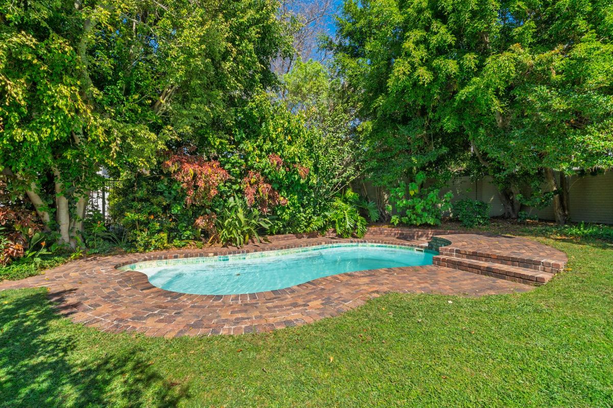 Sunbird Song – A Haven in Kenilworth Upper - Photo 5