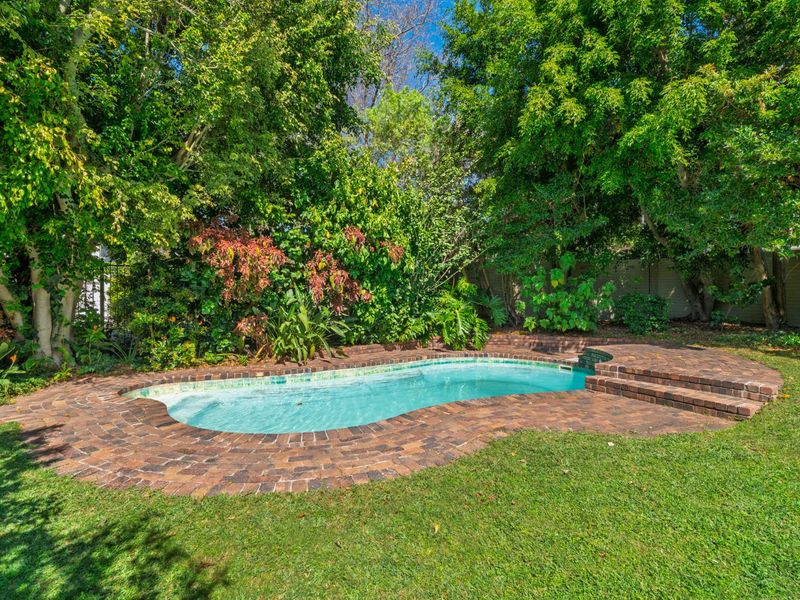 Sunbird Song – A Haven in Kenilworth Upper - Photo 5