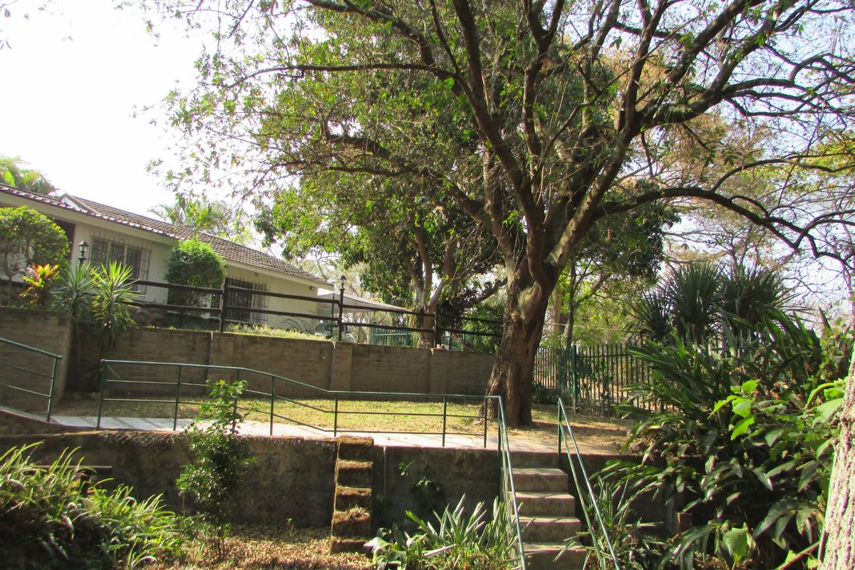 House with granny flat - Photo 3