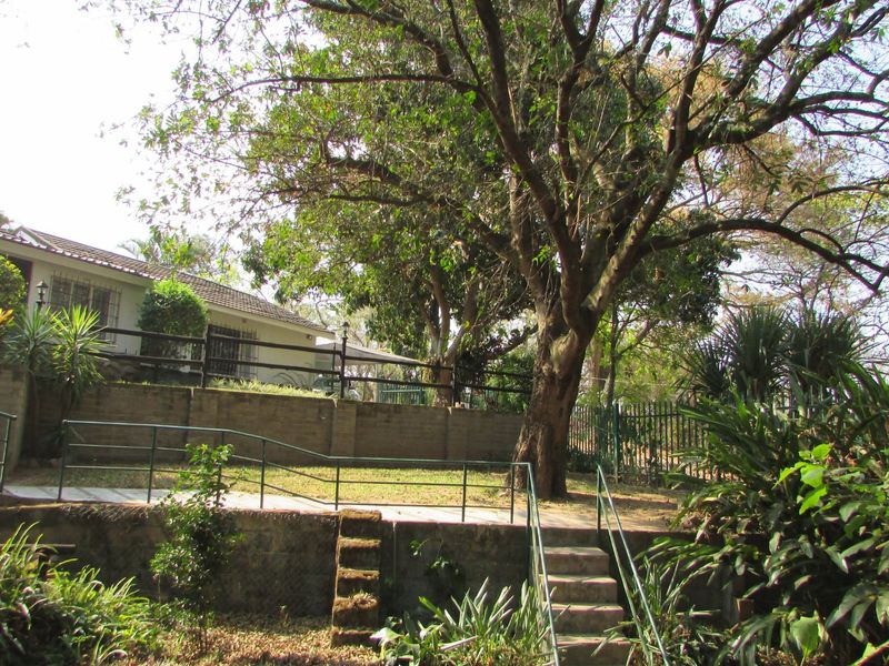 House with granny flat - Photo 3