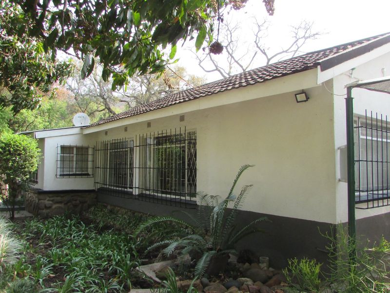 House with granny flat - Photo 6