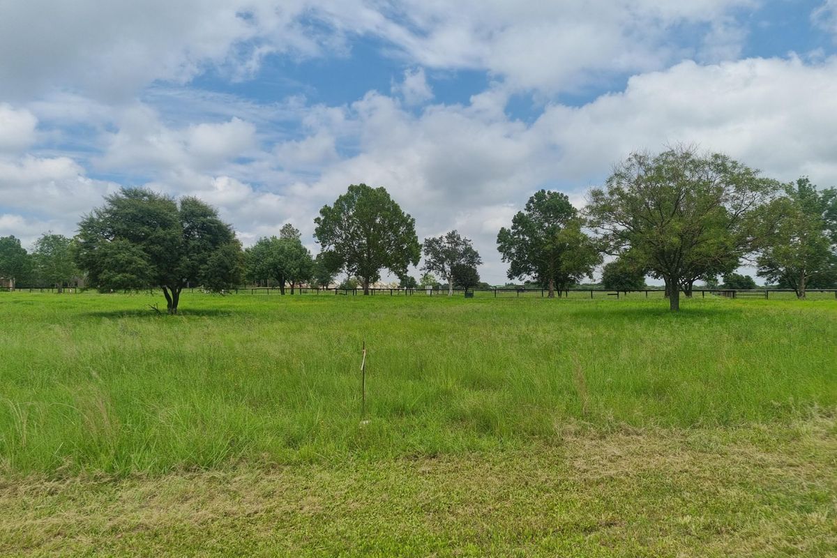 A spacious, level residential land parcel featuring established mature trees and perimeter fencing, offering a clear and open landscape for potential development.