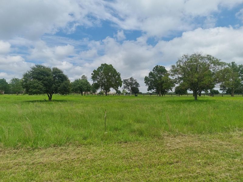 A spacious, level residential land parcel featuring established mature trees and perimeter fencing, offering a clear and open landscape for potential development.