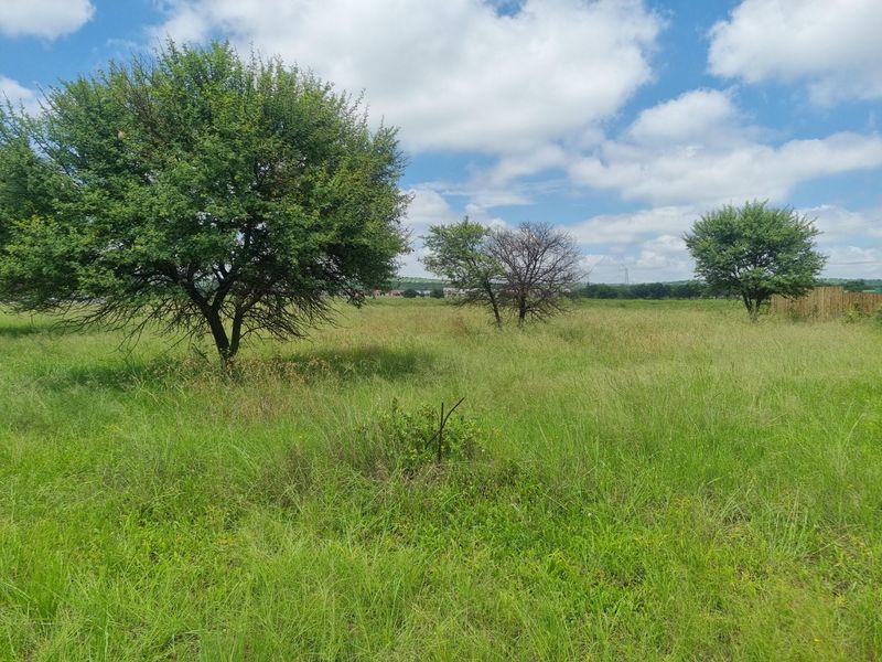 A view of a vacant residential plot featuring open grassland and mature trees under a blue sky.