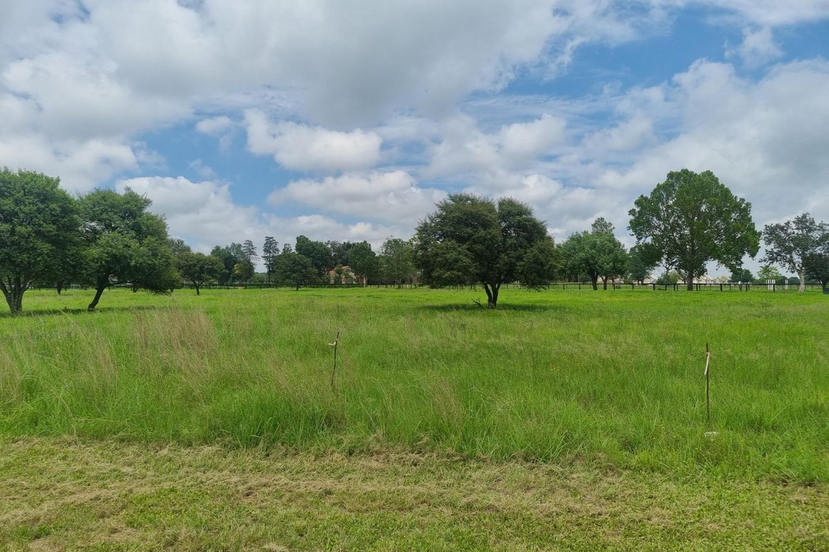A view of a spacious, level residential vacant land plot featuring established trees and natural grass cover.