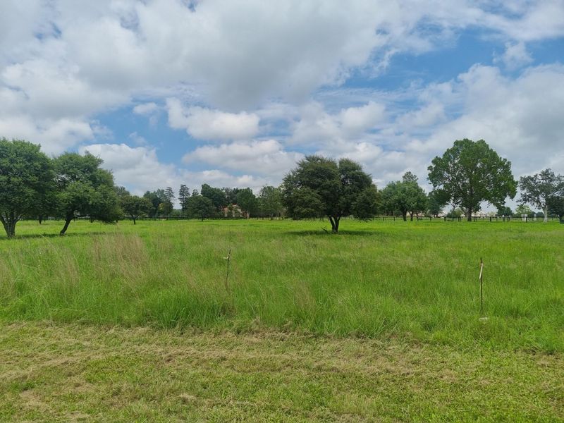 A view of a spacious, level residential vacant land plot featuring established trees and natural grass cover.