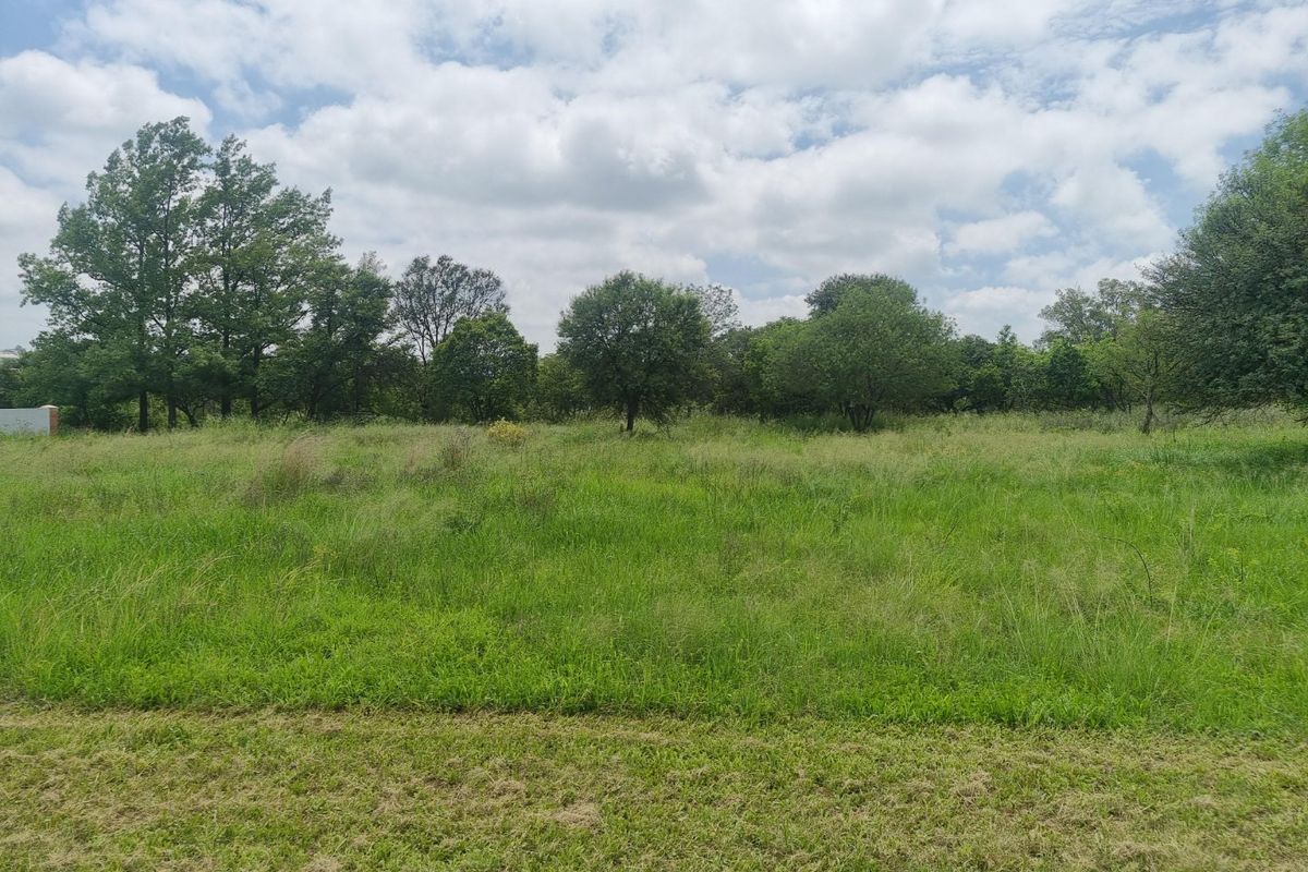 A view of a vacant residential plot featuring established trees and natural grassland vegetation.