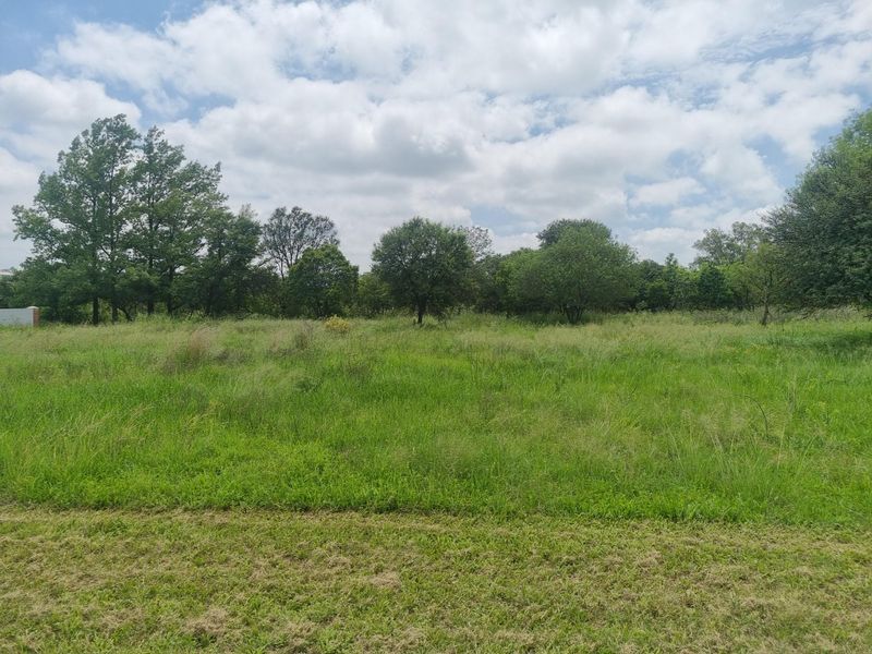A view of a vacant residential plot featuring established trees and natural grassland vegetation.