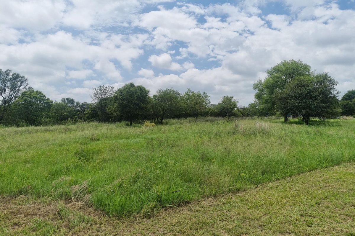A view of a vacant residential plot featuring established trees and natural grassland, offering a blank canvas for future development.
