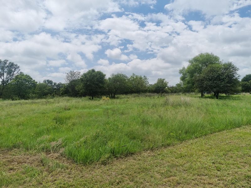 A view of a vacant residential plot featuring established trees and natural grassland, offering a blank canvas for future development.