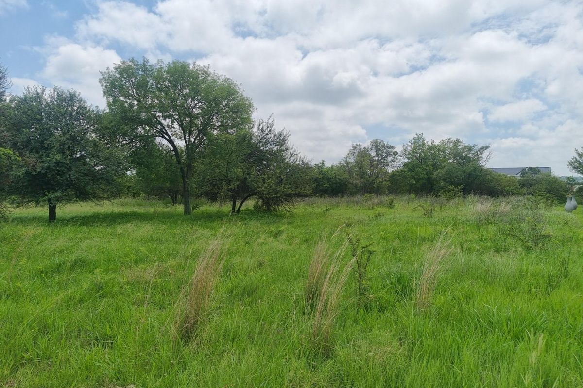 A view of a vacant residential plot featuring established trees and natural grassland, offering a blank canvas for future development.