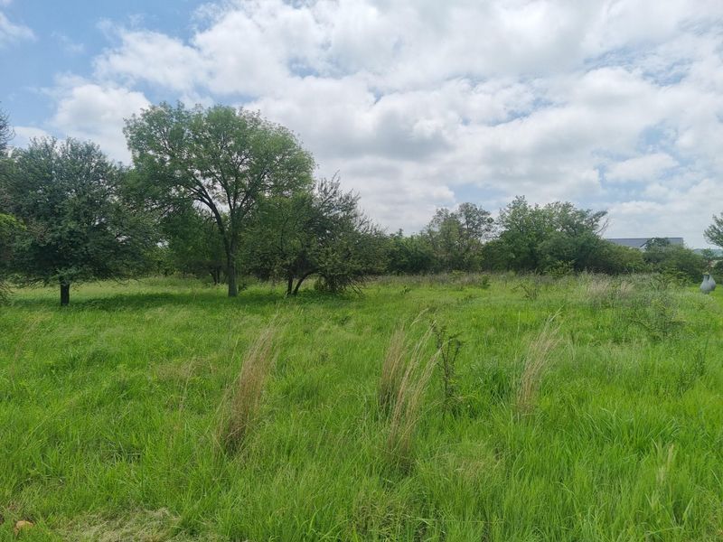 A view of a vacant residential plot featuring established trees and natural grassland, offering a blank canvas for future development.