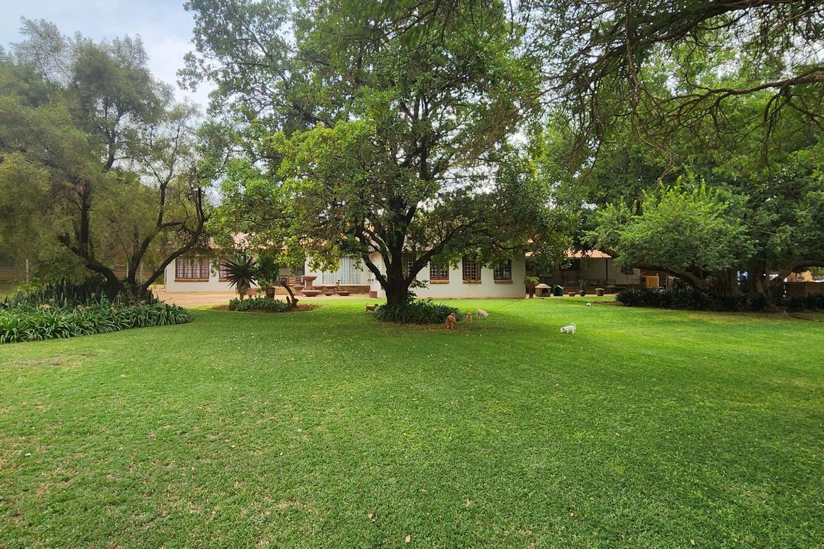 Charming 5-Bedroom Farm in Rietfontein with Business Potential - Photo 2