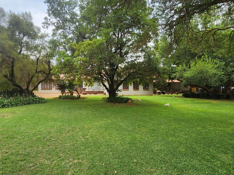 Charming 5-Bedroom Farm in Rietfontein with Business Potential - Photo 2