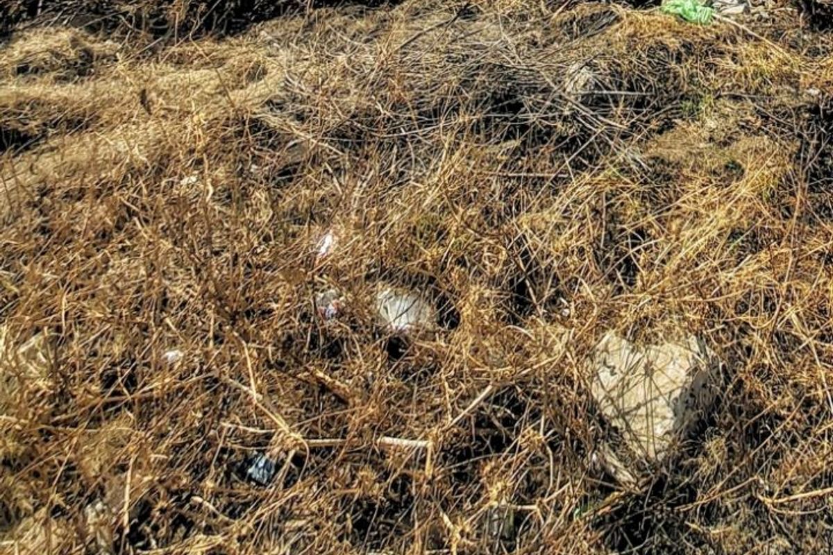 Vacant Land For Sale In Welverdiend  - Photo 2