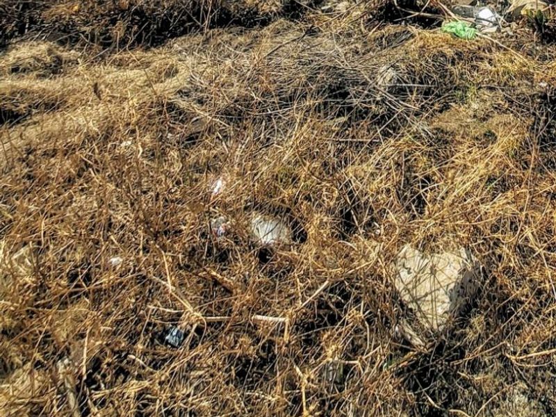 Vacant Land For Sale In Welverdiend  - Photo 2